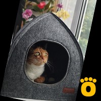 https://pethouse.ua/assets/images/testimonials/cropped-image_1748103735.jpeg