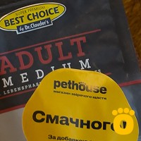 https://pethouse.ua/assets/images/testimonials/cropped-image_1748859907.jpeg