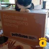 https://pethouse.ua/assets/images/testimonials/cropped-image_1749137437.jpeg