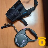 https://pethouse.ua/assets/images/testimonials/cropped-image_1749711100.jpeg