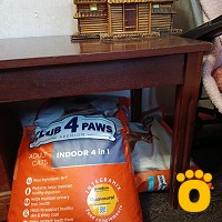 https://pethouse.ua/assets/images/testimonials/cropped-img_1753186930.jpeg