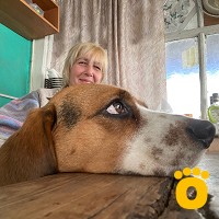 https://pethouse.ua/assets/images/testimonials/cropped-img_1755158475.jpeg