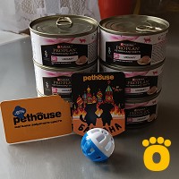 https://pethouse.ua/assets/images/testimonials/cropped-img_1755274135.jpeg