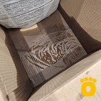 https://pethouse.ua/assets/images/testimonials/cropped-img_1755878122.jpeg