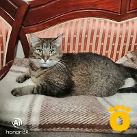 https://pethouse.ua/assets/images/testimonials/cropped-img_1757694569.jpeg