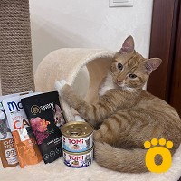 https://pethouse.ua/assets/images/testimonials/cropped-img_1760115069.jpeg