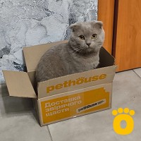 https://pethouse.ua/assets/images/testimonials/cropped-img_1760381944.jpeg