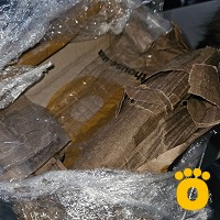 https://pethouse.ua/assets/images/testimonials/cropped-img_1761480754.jpeg