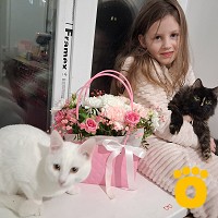 https://pethouse.ua/assets/images/testimonials/cropped-img_1777658479.jpeg