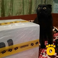 https://pethouse.ua/assets/images/testimonials/cropped-img_1785694708.jpg