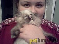 https://pethouse.ua/assets/images/testimonials/fg78f78dfsdgsf.jpg