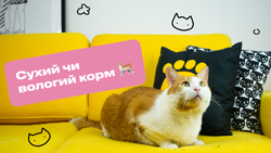 Дешевые корма для кошек украина