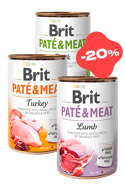 Brit -20% собака