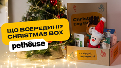 Повний джингл белс: розпаковка Christmas Box