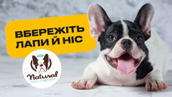 Бальзами для лап та носиків від Natural Dog. Косметика для собак та котів