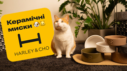 Керамічні миски Harley&Cho