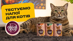 Напитки для кошек Delickcious. Утоляем жажду и дегустируем