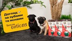 TropiClean Enticers Kong Уход за полостью рта
