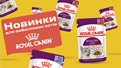 НОВА лінійка смаків Royal Canin Sensory для вибагливих котів