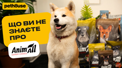 Корм AnimAll. Что нужно про него знать?