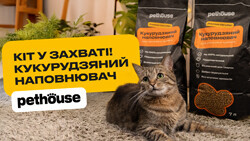Почему стоит попробовать кукурузный наполнитель Pethouse?