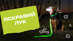 Збираємо яскравий лук