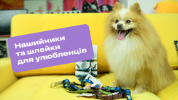 Нашийники та шлейки для улюбленців: як правильно обрати