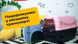 Путешествие со зверятами в общественном транспорте