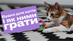 Вудочки для котів: як вибрати кращу для свого улюбленця?