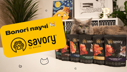 Паучи с влажным кормом Savory для кошек