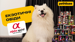 Обзор на вкусные рационы для собак от Alpha Spirit