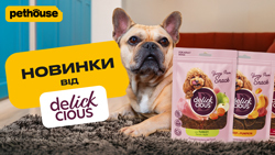 Delickcious сушені снеки. Новинка!