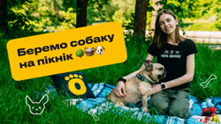 Беремо собаку на пікнік