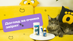 Уход за глазами любимцев