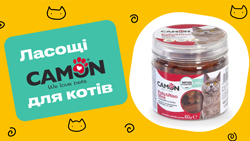 Нові ласощі від Camon для котів