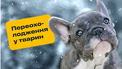 Как предотвратить переохлаждение и обморожение?