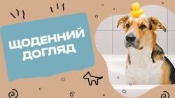 Регулярний догляд за улюбленцями