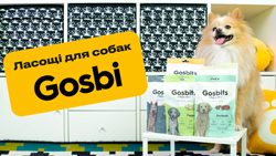 Лакомства для собак от Gosbi