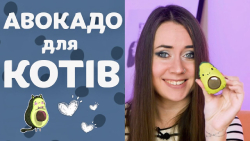 Petstages Lil' Avocato Игрушка "Авокадо" для кошек | Обзор от Pethouse