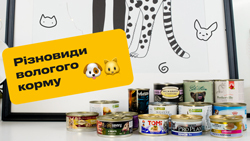 Різновиди вологого корму