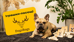 Игрушки-лакомства DogsRogs для собак