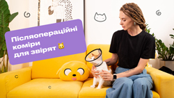 Післяопераційні коміри для звірят
