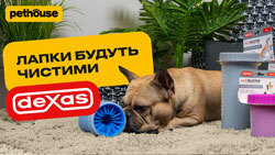 Лапомойки для собак. Что это и как пользоваться