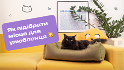 Как выбрать “место” для любимца