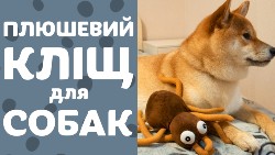 Мягкая игрушка для собак в виде клеща от TRIXIE | Обзор от Pethouse.ua