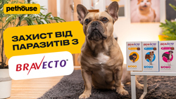 Протипаразитарні засоби від Bravecto