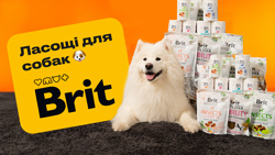 Новые лакомства Brit для собак Новые лакомства Brit для собак