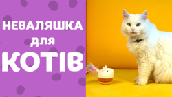 Іграшка для котів Nina Ottosson Інтерактивна мишка | огляд від Pethouse.ua