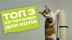 Як вибрати кігтеточку