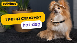 Кепки, бананки и панамы Hat-Dog для животных Кепки, бананки и панамы Hat-Dog для животных